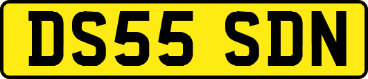 DS55SDN