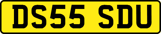 DS55SDU