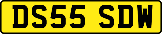 DS55SDW