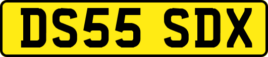DS55SDX