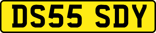 DS55SDY