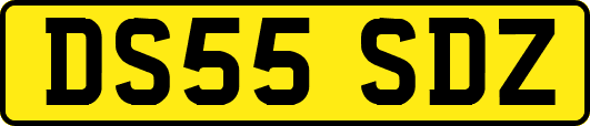 DS55SDZ
