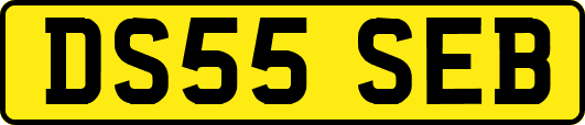 DS55SEB