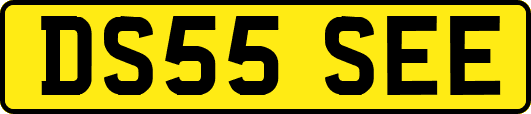 DS55SEE