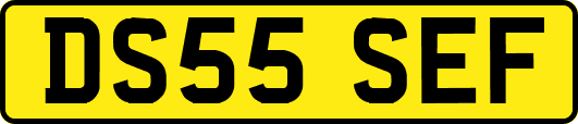 DS55SEF