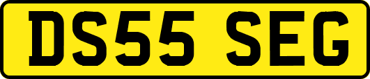 DS55SEG