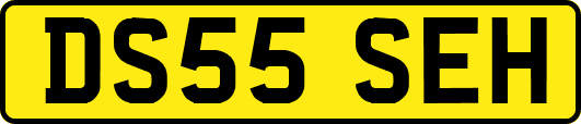 DS55SEH