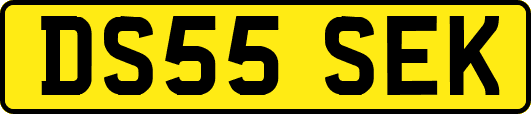 DS55SEK