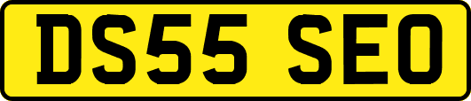 DS55SEO