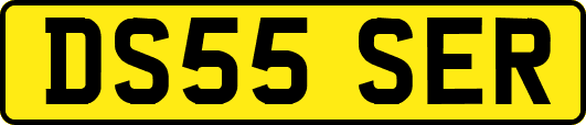 DS55SER
