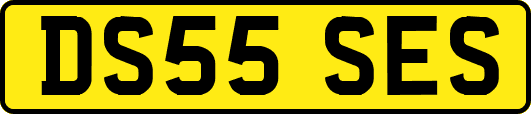 DS55SES