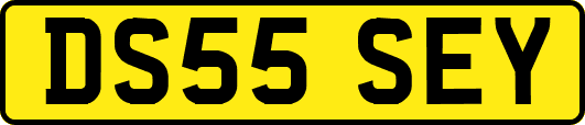 DS55SEY