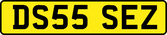 DS55SEZ