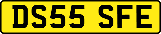 DS55SFE