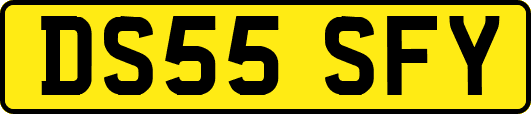 DS55SFY