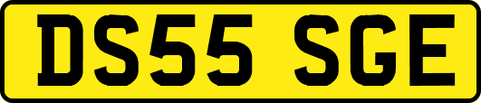 DS55SGE