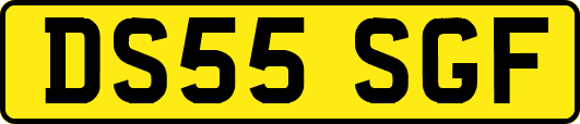 DS55SGF