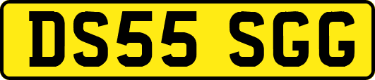 DS55SGG