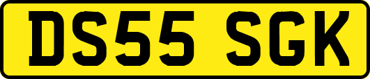 DS55SGK