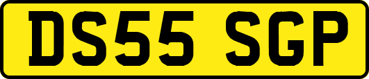 DS55SGP