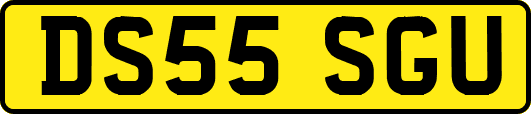 DS55SGU