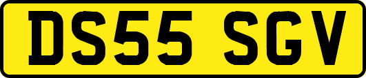 DS55SGV
