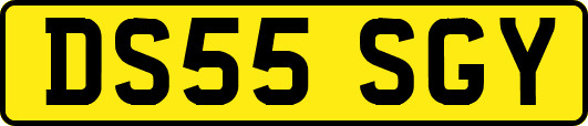 DS55SGY