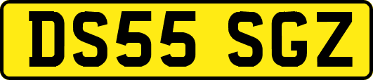 DS55SGZ