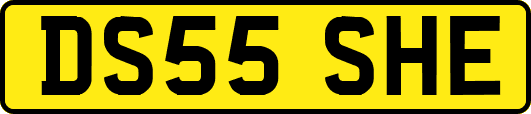 DS55SHE