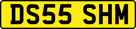 DS55SHM