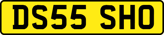 DS55SHO