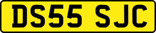 DS55SJC