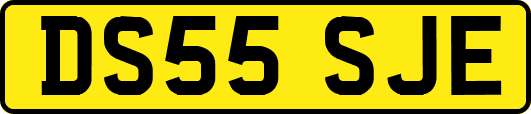DS55SJE