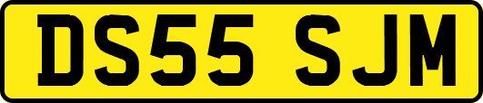 DS55SJM