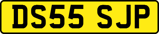 DS55SJP
