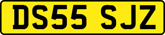 DS55SJZ