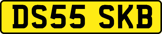 DS55SKB