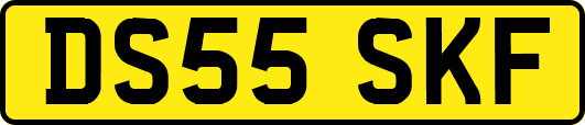 DS55SKF