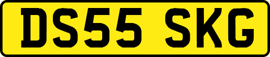 DS55SKG