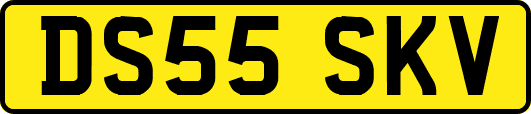 DS55SKV