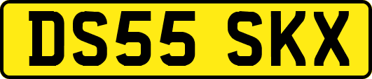 DS55SKX