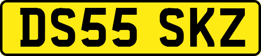 DS55SKZ