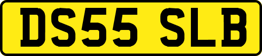 DS55SLB