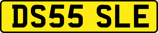 DS55SLE