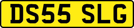 DS55SLG
