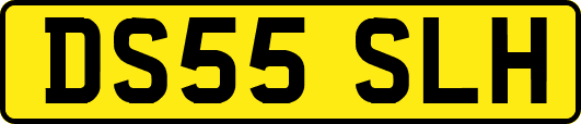 DS55SLH