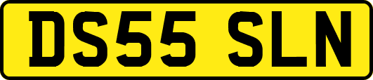 DS55SLN