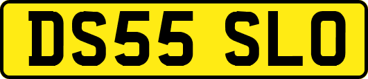 DS55SLO