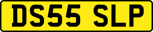 DS55SLP