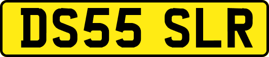 DS55SLR